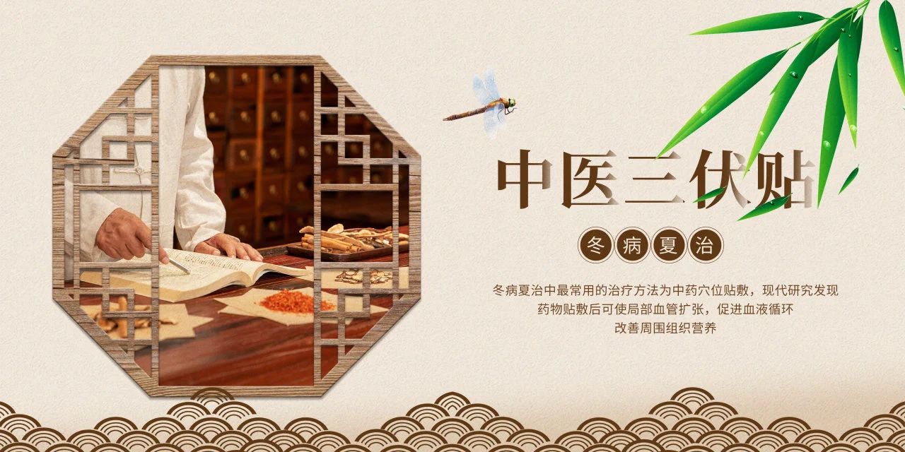 眼睛也需要“三伏貼”？